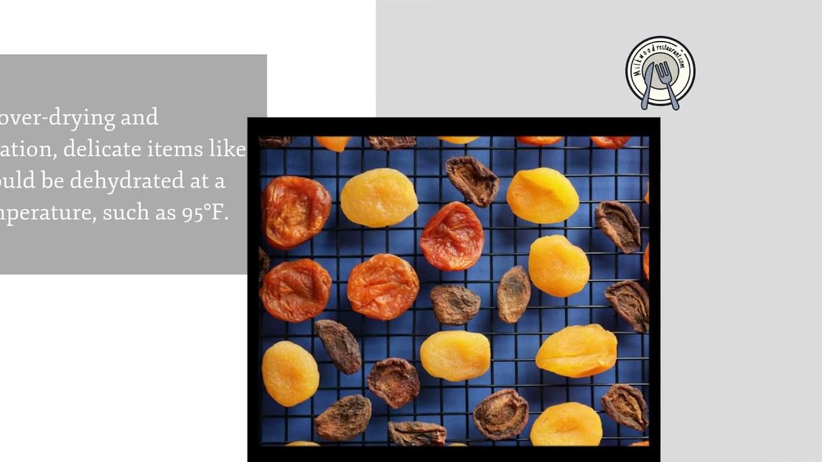 'Video thumbnail for What Is A Food Dehydrator? (2021)'
