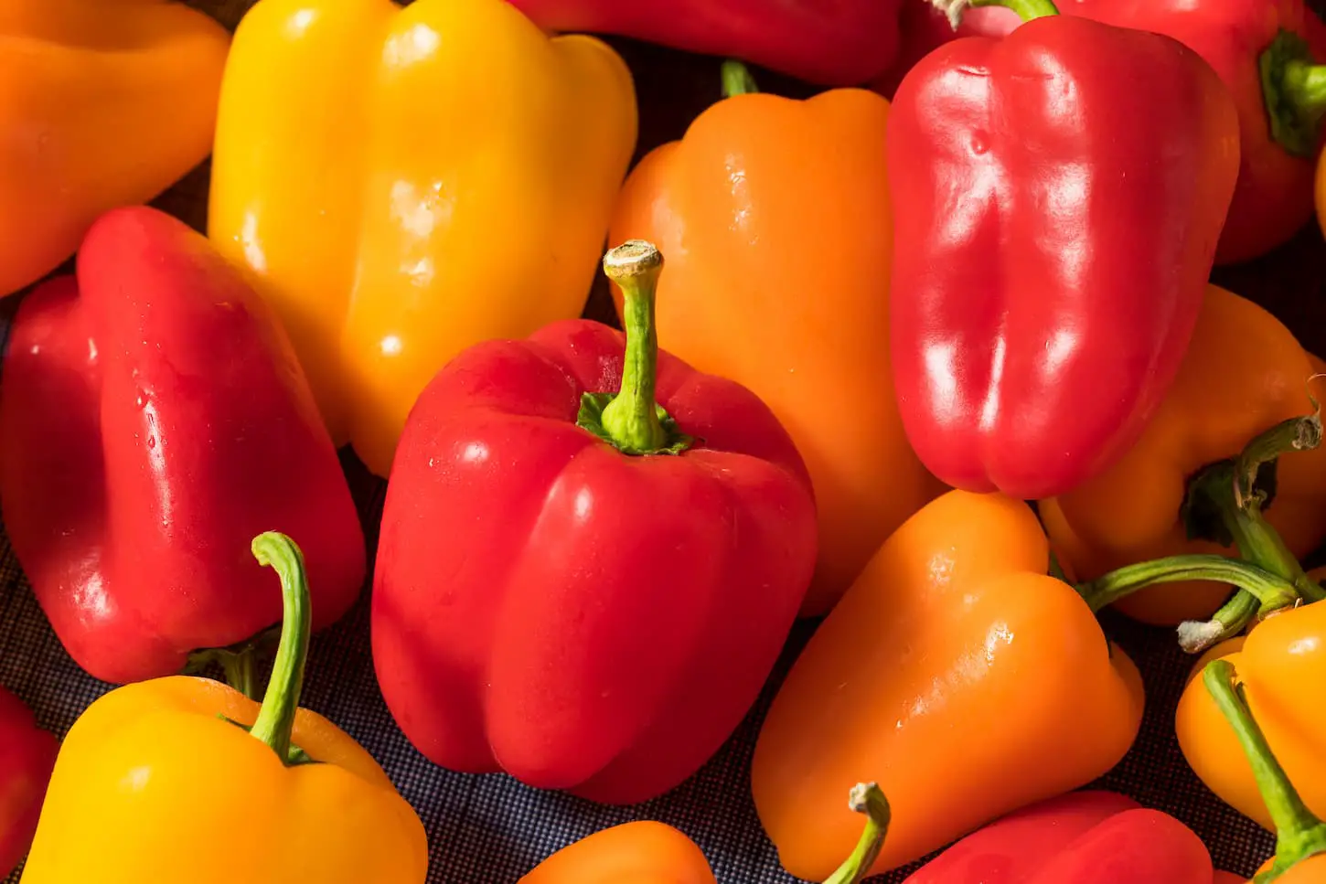 How to Freeze Dry Bell Peppers: 5 Simple Steps!
