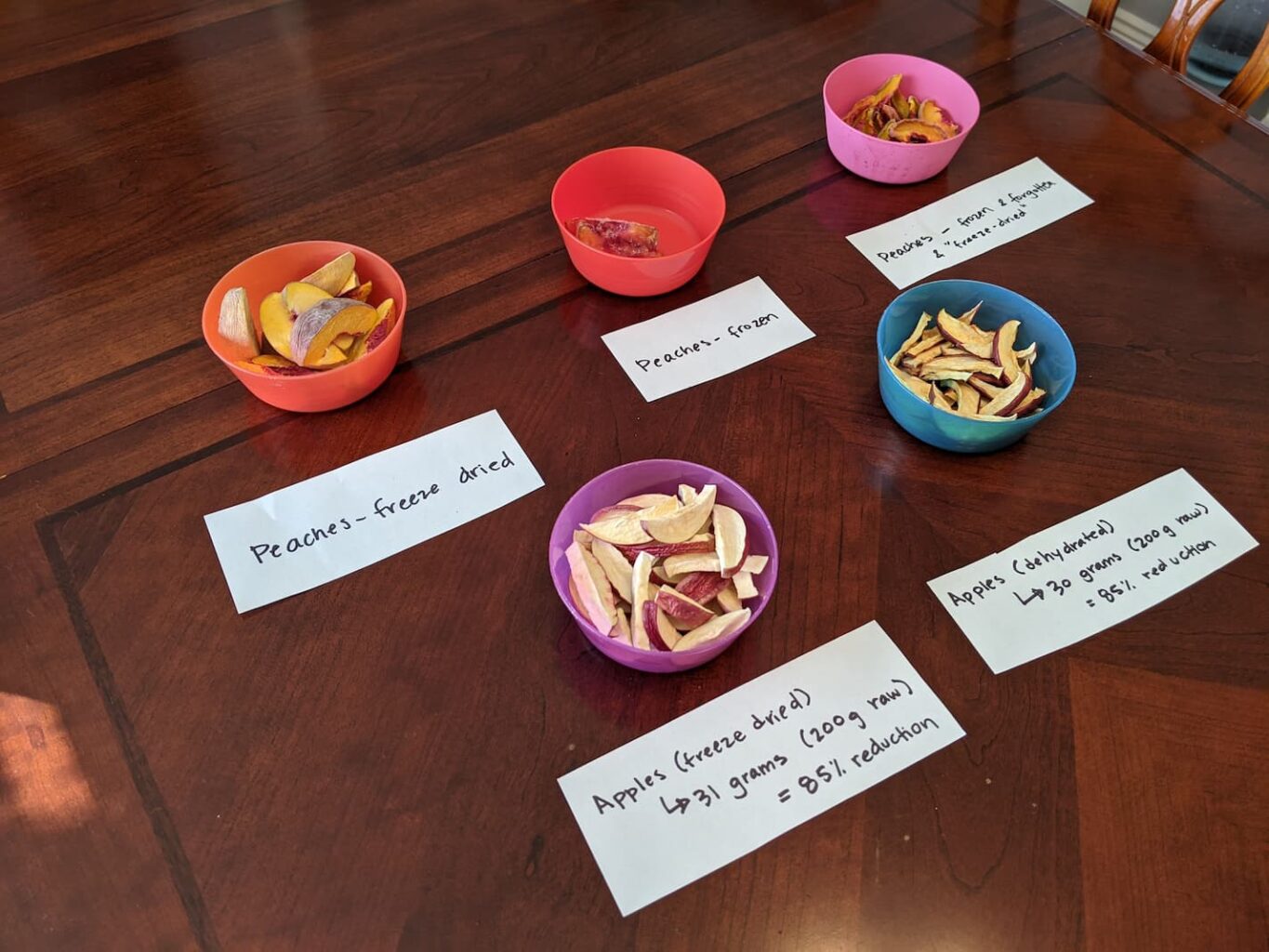 An image of various fruits that were either dehydrated or freeze dried side by side for comparison