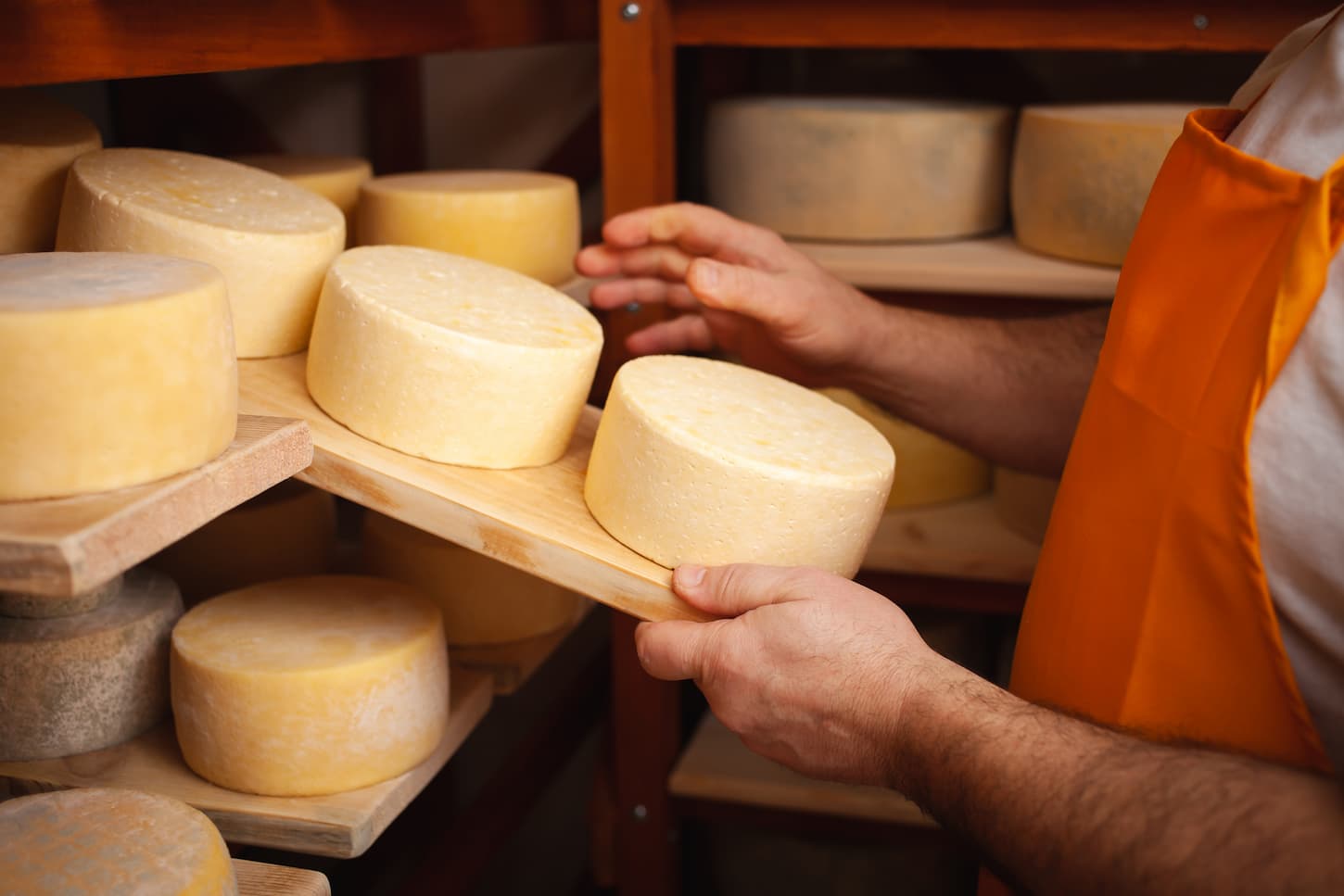 An image of a cheesemaker in the cellar checking on a ripening cheese circle on wooden shelves.