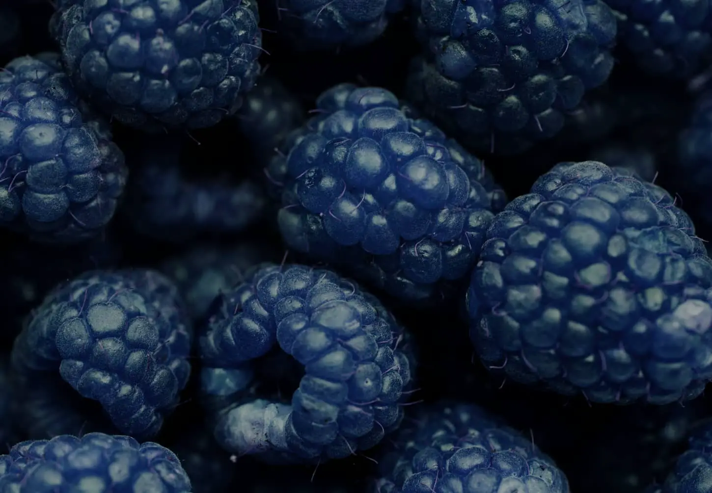 Blue Raspberries: What you need to know