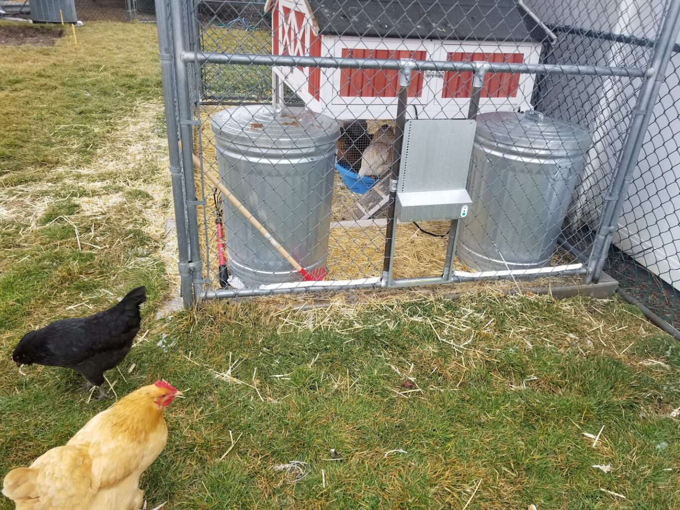 An image of the chicken coop and chickens in the pasture.