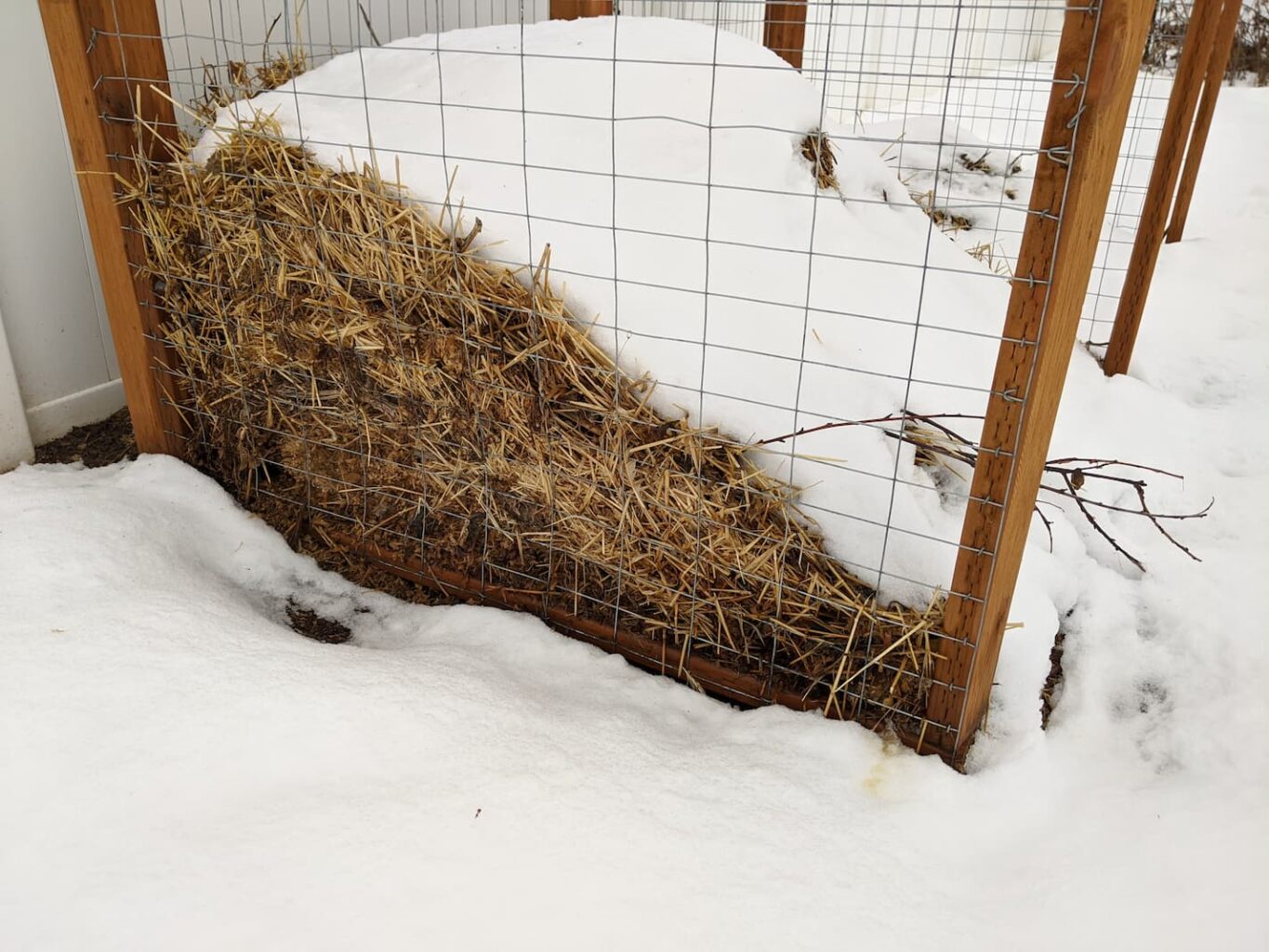 An image of our compost pile in the winter covered in snow.