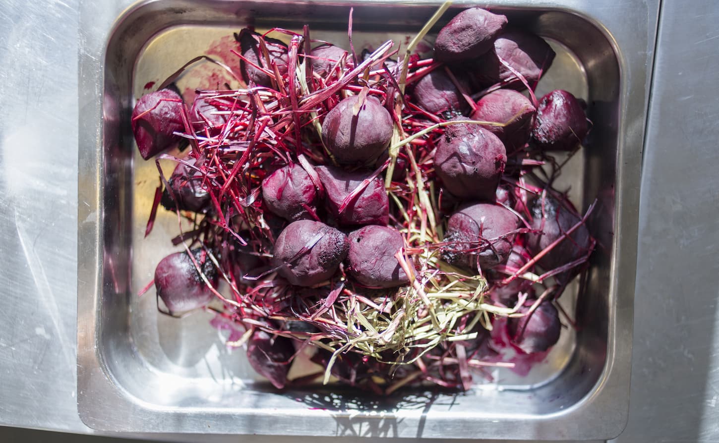 An image of beet in the tray on the kitchen counter.