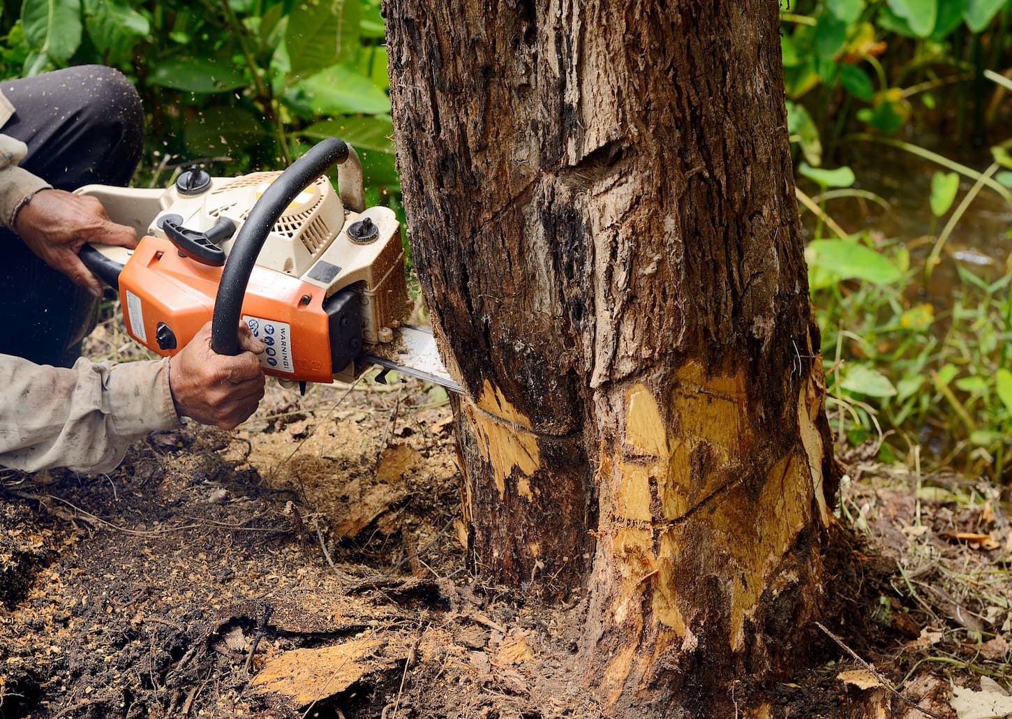 Chainsaws Can Start Fires. Here’s How To Stay Safe!