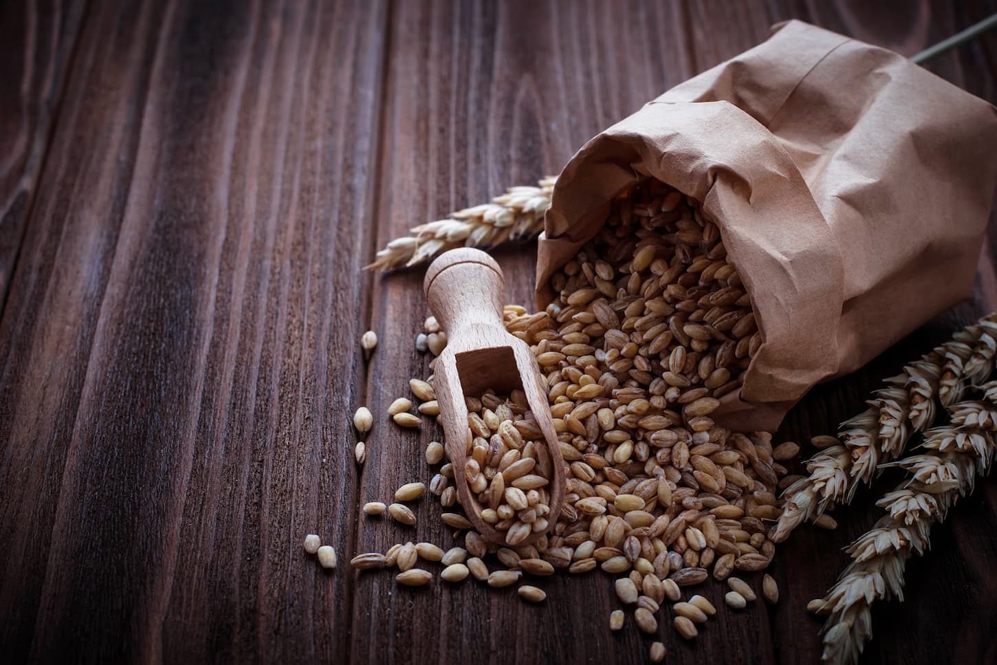 An image of wheat grains in a paper or store bag.