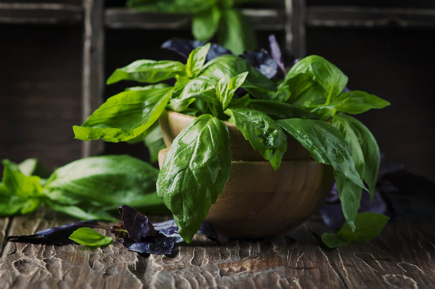 An image of a bunch of fresh basil on the vintage table, selective focus.