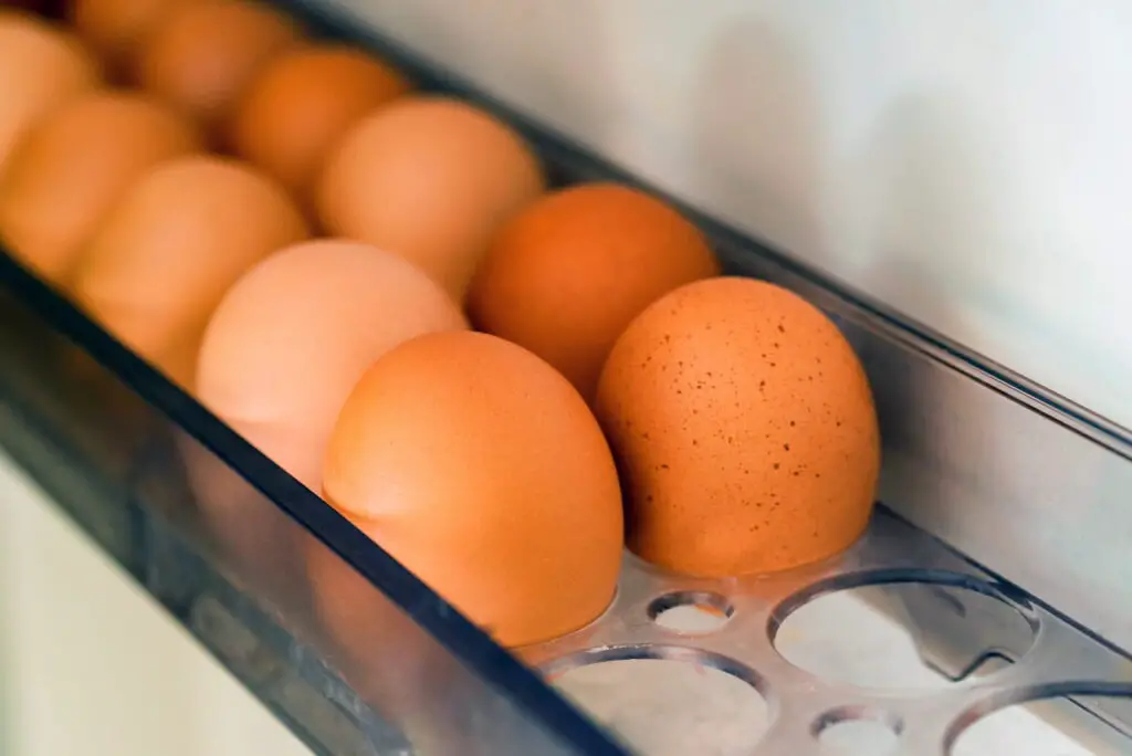 do-you-have-to-refrigerate-fresh-eggs