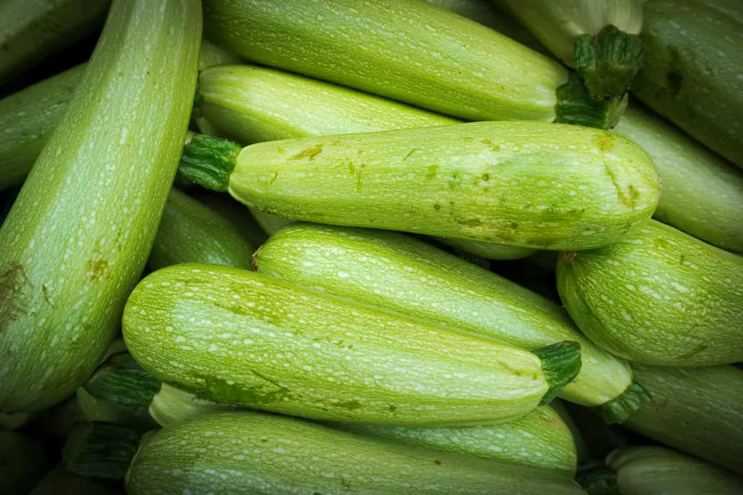 An image of Fresh green zucchinis.