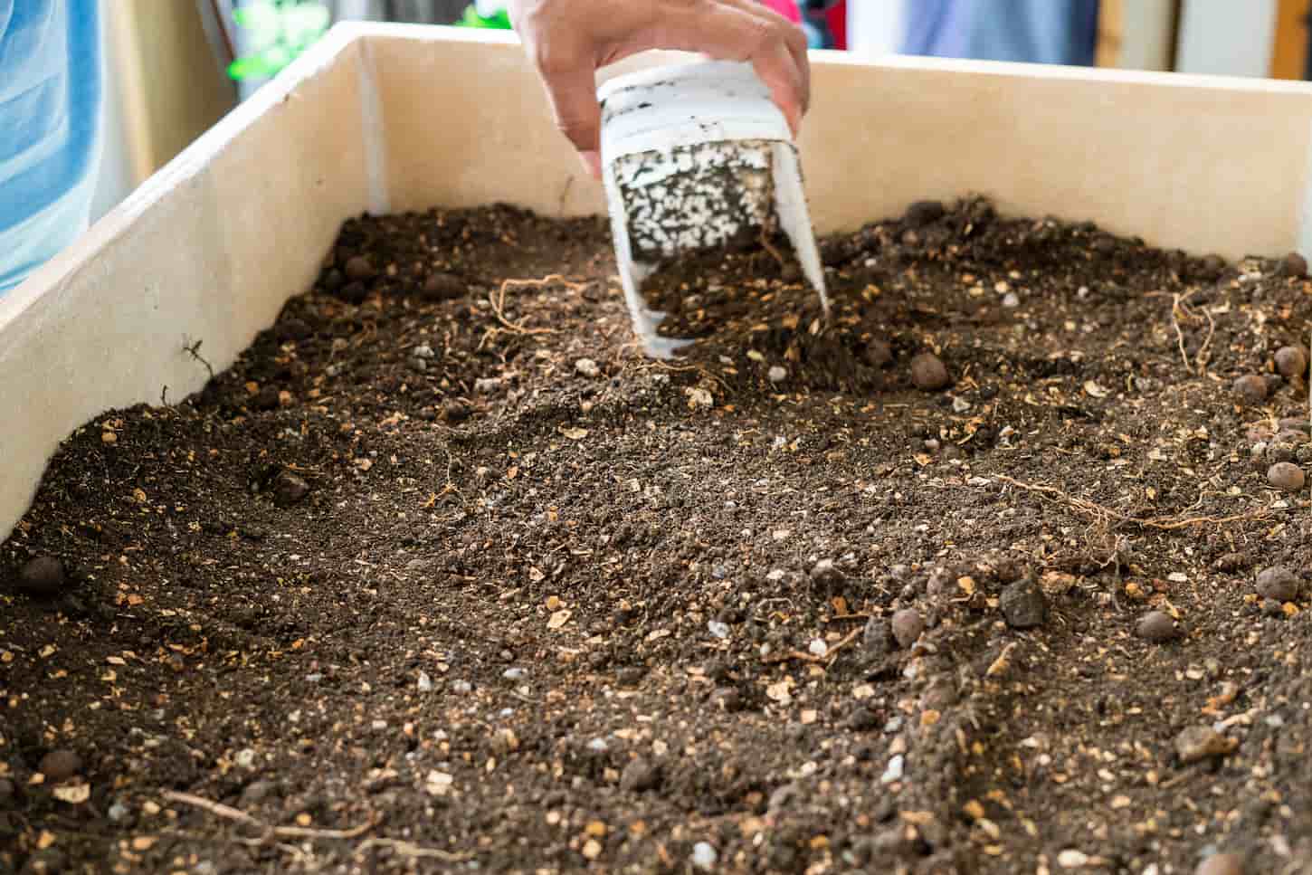 An image of soil and compost mixture in a planter box.