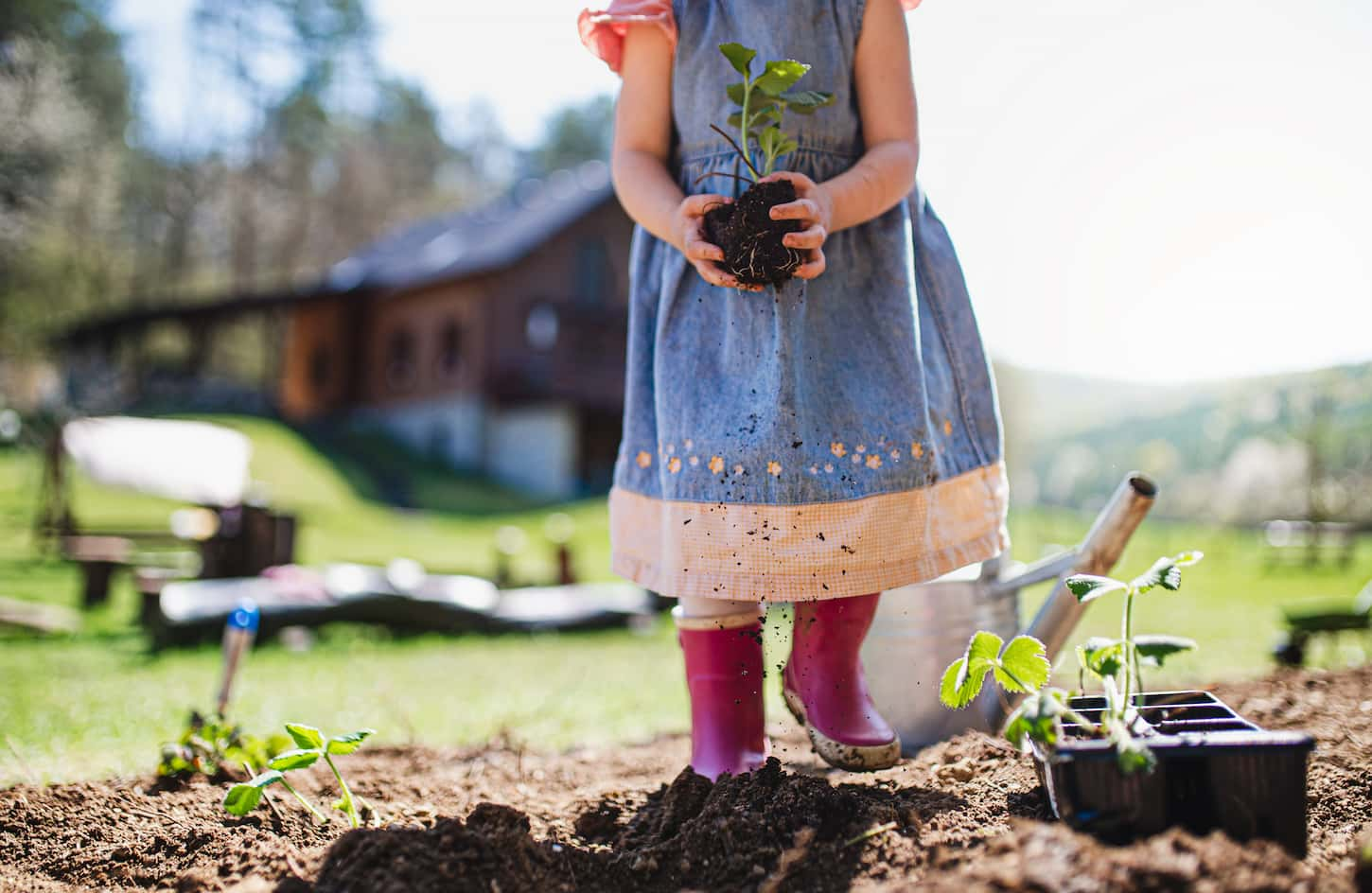 Will Epsom Salt Kill Plants? What You Need To Know