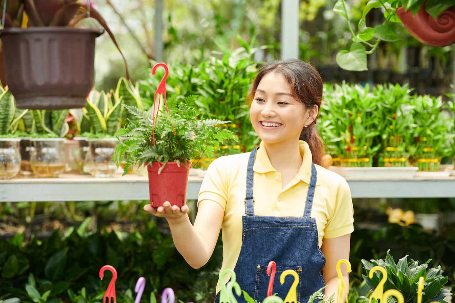 An image of a happy excited young woman looking at a fern plant in a pot with a hanger that is sold in the gardening center.