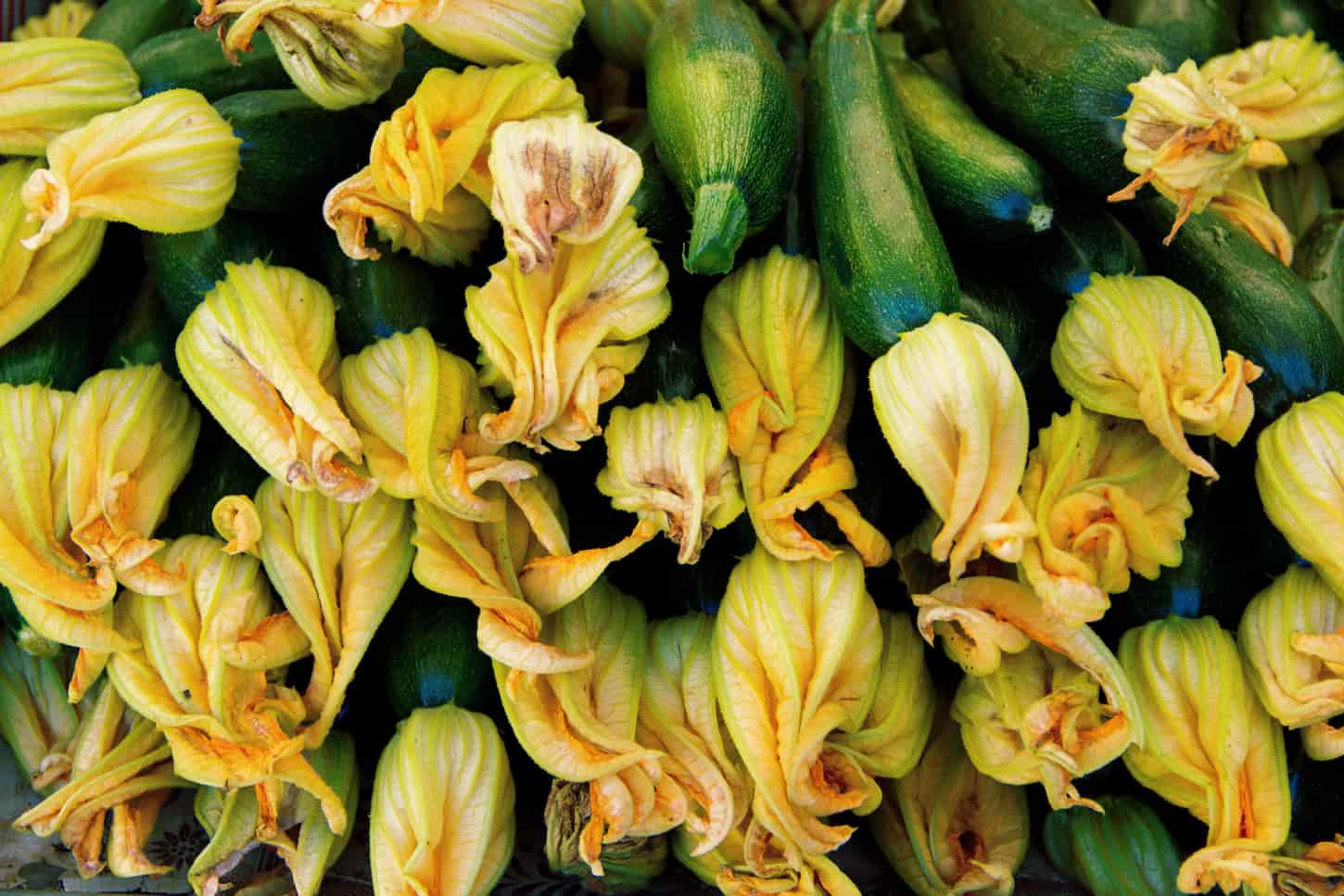 An image of young zucchini with flowers on a farmers' market.