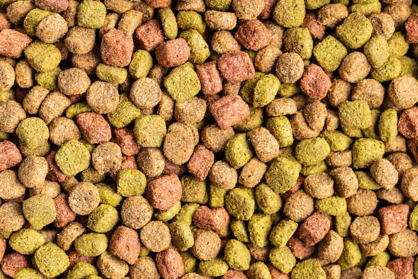 An image of Dried food for cats or dogs.