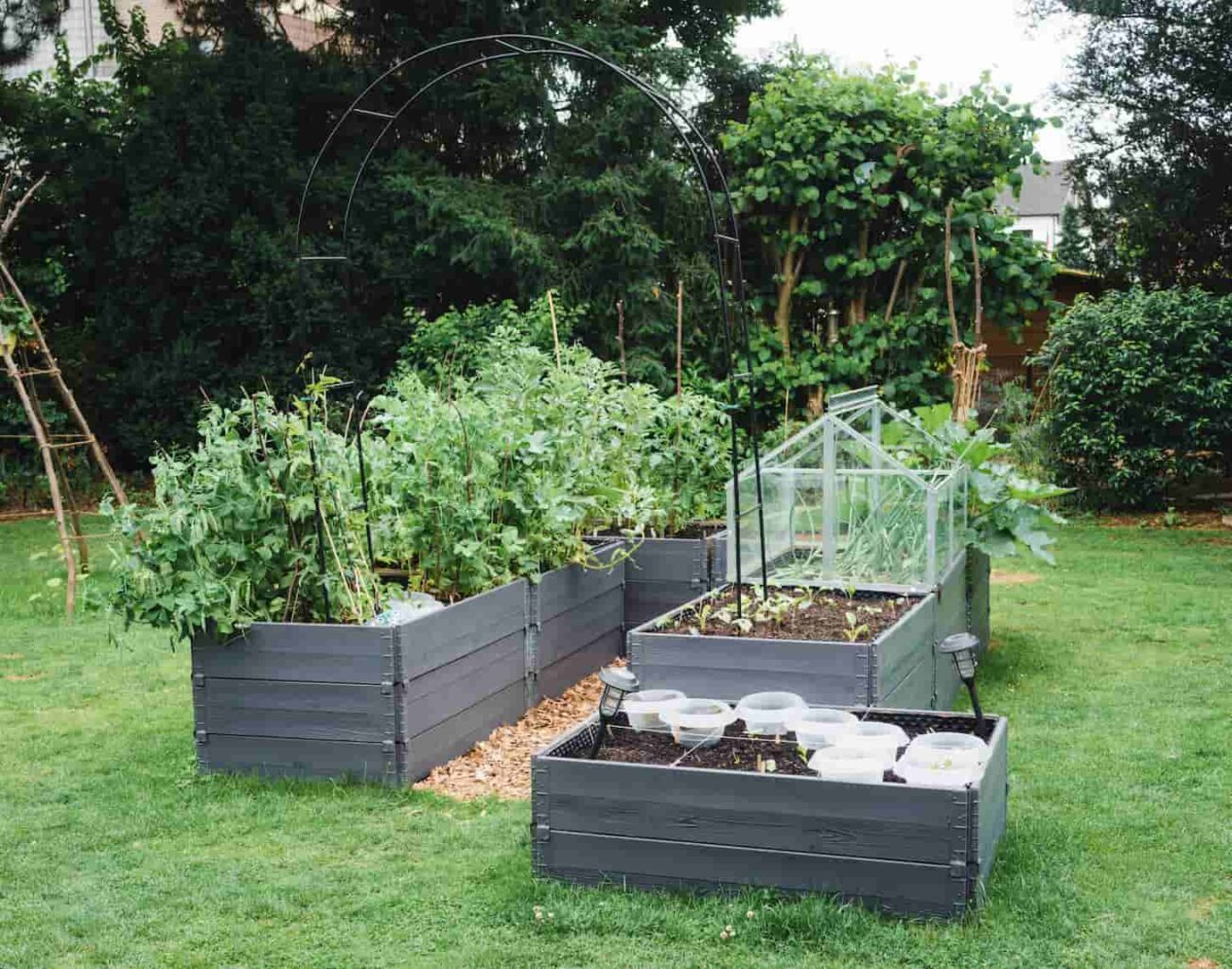 An image of a Garden with an area of raised vegetable beds and a cold frame in the center.