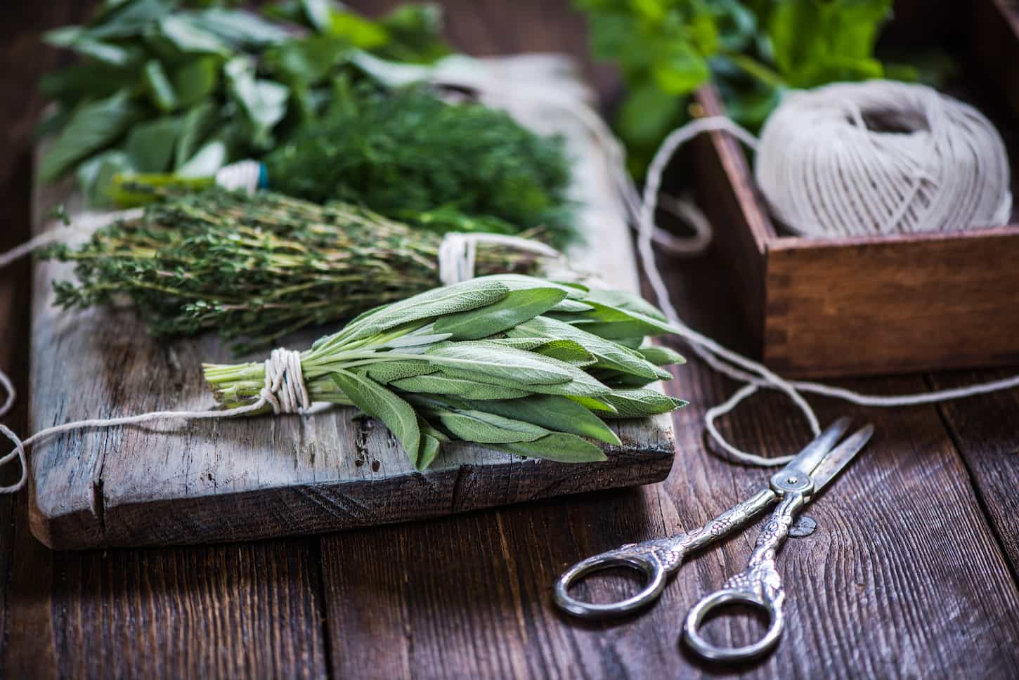 An image of basil, sage, dill, and thyme herbs on a wooden board preparing for winter drying.