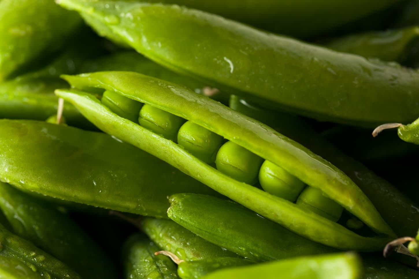 An image of Organic Green Sugar Snap Peas Ready to Eat.