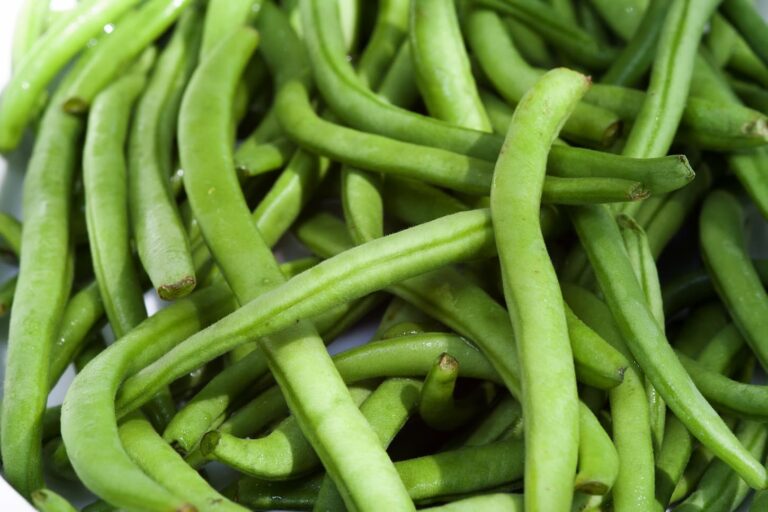 Complete Green Bean Guide Pole Bush String Etc complete-green-bean-guide-pole-bush-string-etc