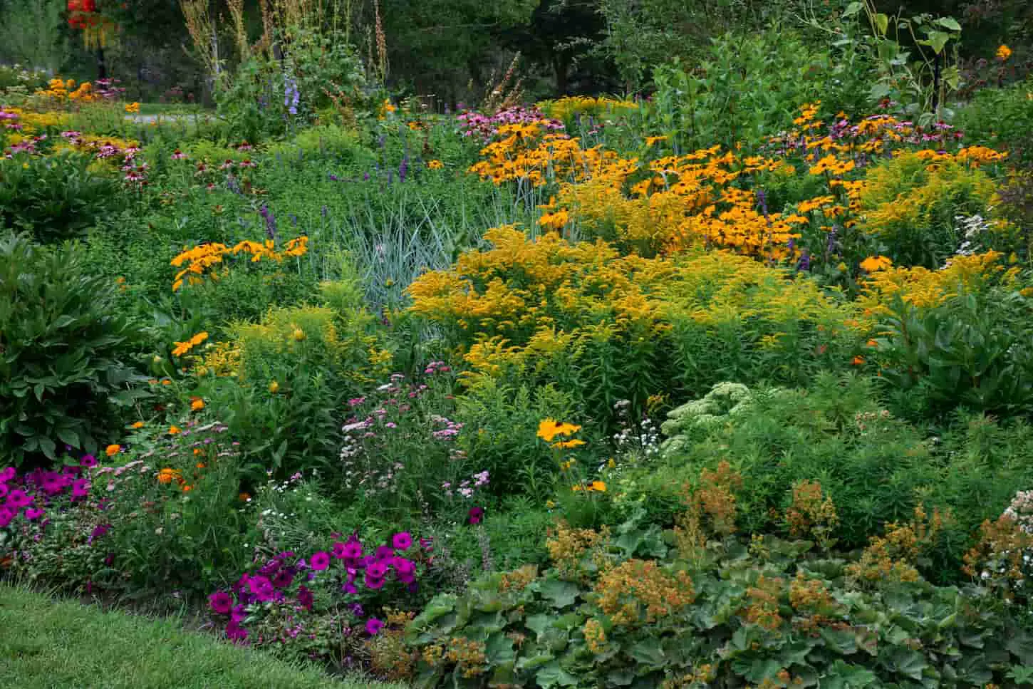 17 Low Maintenance Garden Border Ideas to Know Of!