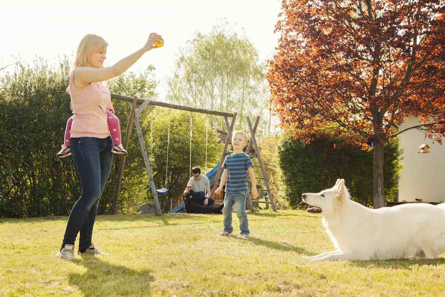 An image of a Family hanging out in the garden and training the dog.