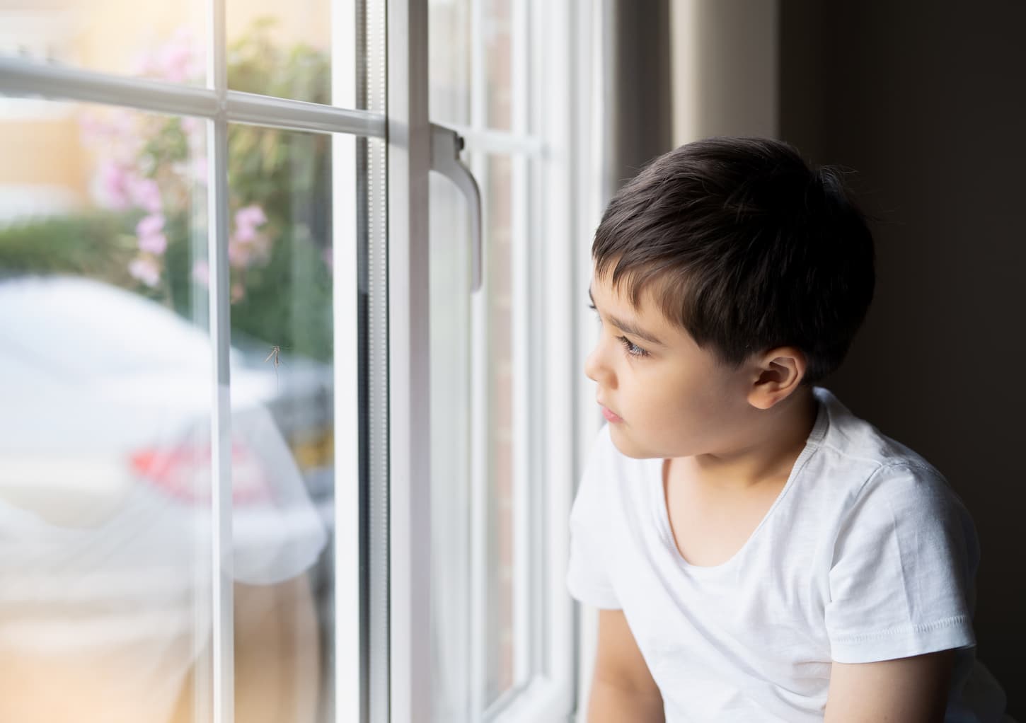 An image of a Kid looking at the midge climbing up outside of the double-glazed window. Young boy looking at insect.